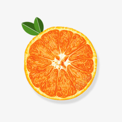 夏日橙子水果橙素材