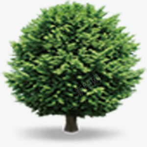 城市绿色文明创建绿色大树png免抠素材_新图网 https://ixintu.com 一颗 城市 大树 绿色 绿色文明创建