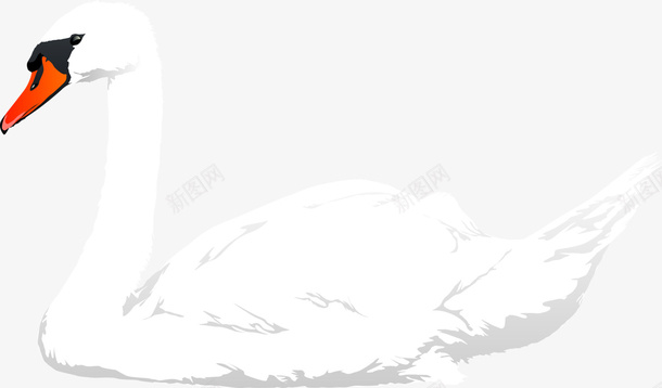 美丽手绘白天鹅卡通图像图png免抠素材_新图网 https://ixintu.com 卡通 图像图 手绘 白天鹅 美丽 美丽手绘白天鹅卡通图像图