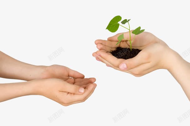双手托起绿色植物png免抠素材_新图网 https://ixintu.com 双手 托起 环保 画册 绿色植物 高清
