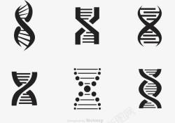 遗传分子双人间螺旋图标高清图片