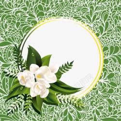 白色纹理绿色背景茉莉花边框矢量图素材