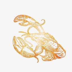 海虾设计手绘小龙虾高清图片