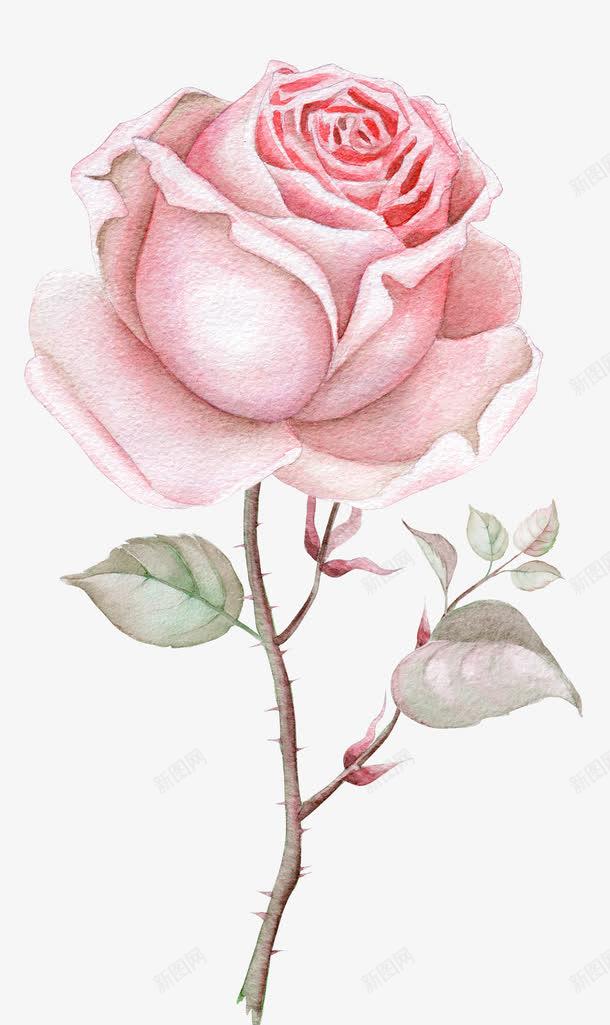 一朵粉色玫瑰png免抠素材_新图网 https://ixintu.com 一朵 卡通 叶子 手绘 桔梗 玫瑰 简图 粉色 绿色