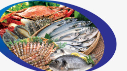鱼店广告海鲜种类高清图片