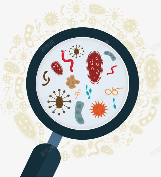 微生物研究png免抠素材_新图网 https://ixintu.com 生物研究 生物科学 病毒 矢量素材 细菌