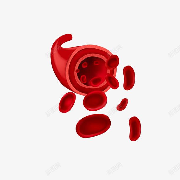 卡通血管示意png免抠素材_新图网 https://ixintu.com 医学 卡通 器官 红细胞 红色 红血球 血管 血管矢量图