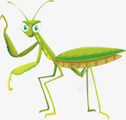 可爱瓢虫手绘卡通可爱螳螂矢量图高清图片
