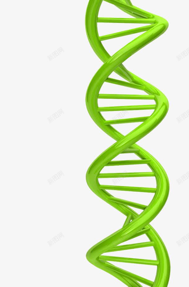 绿色选装的基因图形png免抠素材_新图网 https://ixintu.com DNA 图形 基因 绿色 螺旋