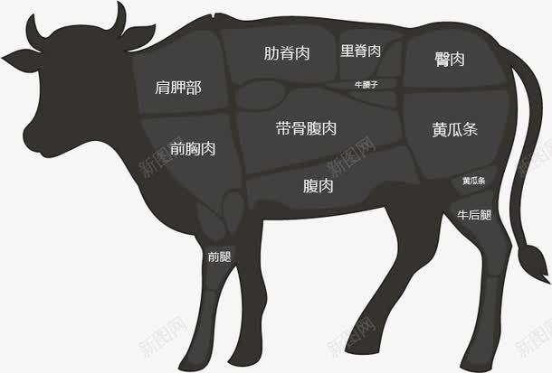 牛的部位分解图png免抠素材_新图网 https://ixintu.com 动物 手绘画 牛 矢量装饰 装饰