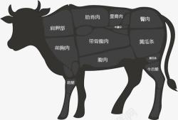 针对4大部位牛的部位分解图高清图片