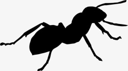 黑蚂蚁蚂蚁吮吸图标高清图片