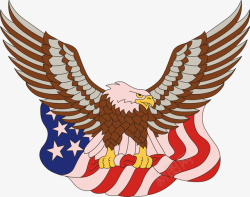 美国鹰脚抓星条旗的白头鹰高清图片