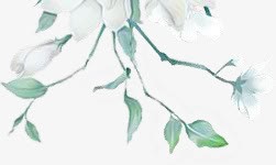 绿色枝叶白色花卉古风手绘png免抠素材_新图网 https://ixintu.com 古风 枝叶 白色 绿色 花卉