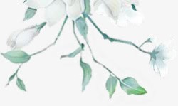 绿色枝叶白色花卉古风手绘素材