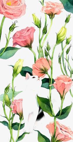 粉色花苞牵牛花手绘鲜花背景高清图片