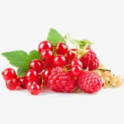红色树莓树莓浆果高清图片