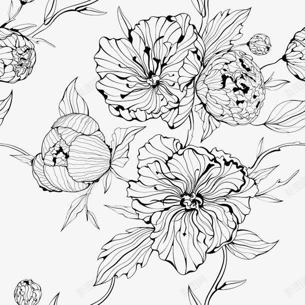 线条手绘黑色花卉图标png_新图网 https://ixintu.com 植物 白描 线描花矢量图 线条手绘 花卉 黑色手绘