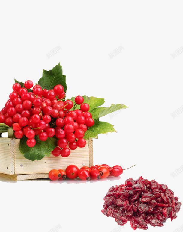蔓越莓原料果子png免抠素材_新图网 https://ixintu.com 北美水果特产 特产果子 特色水果 蔓越莓干果