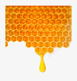 蜜蜂多边形多边形蜂蜜蜂巢高清图片