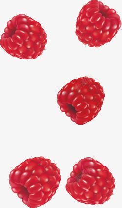 水果图库红色树莓高清图片