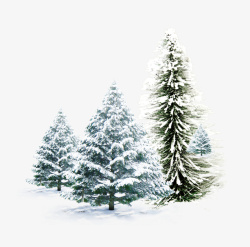 雪地里的松树组合素材