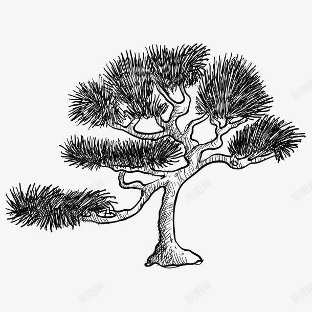 线描松树png免抠素材_新图网 https://ixintu.com 松树 松树速写 植物 粗线条 素描 线描松树 绘画 自然 装饰图案 速写