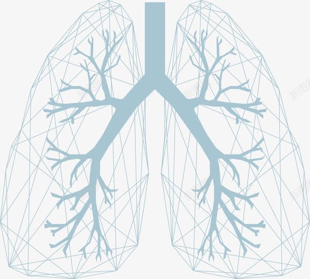 卡通器官png免抠素材_新图网 https://ixintu.com 人体器官 卡通器官 卡通水彩画 器官 器官模型 肺部 肺部图案