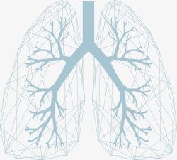 肺部器官卡通器官高清图片
