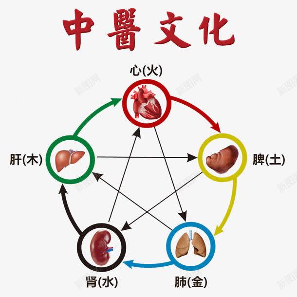 中医文化png免抠素材_新图网 https://ixintu.com 中医 五行 八卦 形状