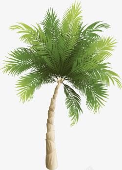树叶树干素材卡通绿色椰子树高清图片