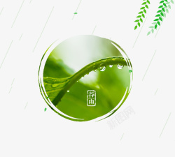 雨滴线条春季绿色树枝装饰高清图片