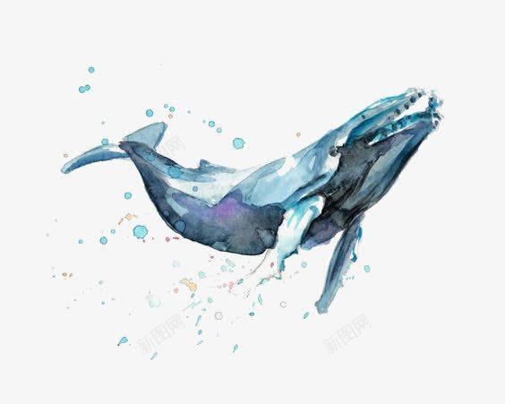 水彩海豚png免抠素材_新图网 https://ixintu.com 卡通海豚 手绘海豚 水墨海豚 蓝色海豚
