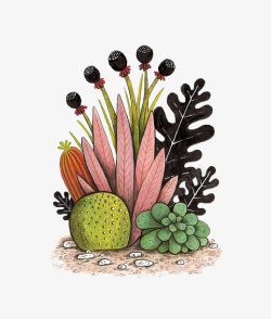 彩色珊瑚手绘卡通珊瑚海藻高清图片