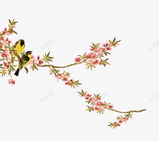 古代工笔桃花花鸟画png免抠素材_新图网 https://ixintu.com 免抠图花鸟 工笔画 桃花 鸟