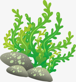 海洋植物舞动的海草素材