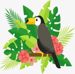 雨林元素热带雨林棕榈叶大嘴鸟高清图片