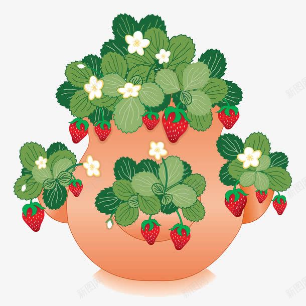 草莓树盆栽png免抠素材_新图网 https://ixintu.com 丰收 叶子 手绘 春天 果实 盆栽 结果 草莓 草莓树 草莓盆栽