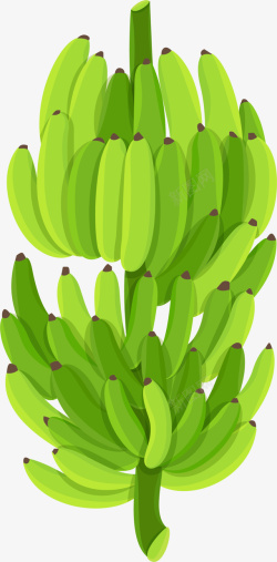 青涩绿色香蕉素材