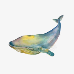 水彩鲸鱼插画素材库手绘水彩座头鲸插画宣传高清图片
