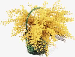 水彩花篮鲜花花卉水彩花卉黄色花朵花篮高清图片