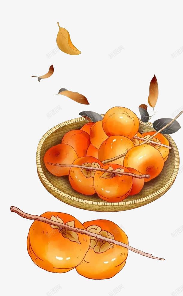 柿子熟了png免抠素材_新图网 https://ixintu.com 一筐柿子 手绘柿子 树叶 水果 甜品