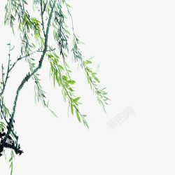 自然生长的绿色手绘垂柳元素高清图片