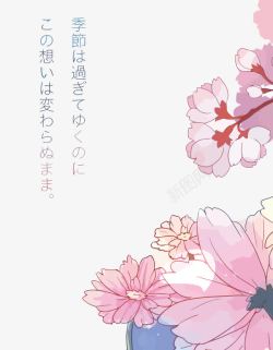 粉红色日本樱花高清图片