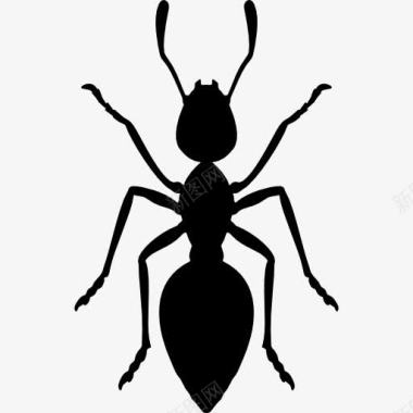 奋斗的蚂蚁蚂蚁图标图标