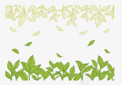 夏季绿茶夏季绿茶小清新树叶矢量图高清图片