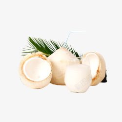 海南特产椰子粉椰青汁椰肉椰树叶高清图片