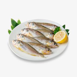 产品实物鱼排鱼美味小鱼高清图片