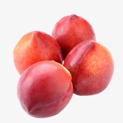 油桃桃子水果素材