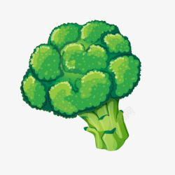 蔬菜主题手绘西兰花高清图片